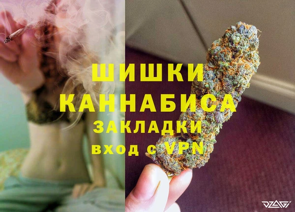 амф Алзамай